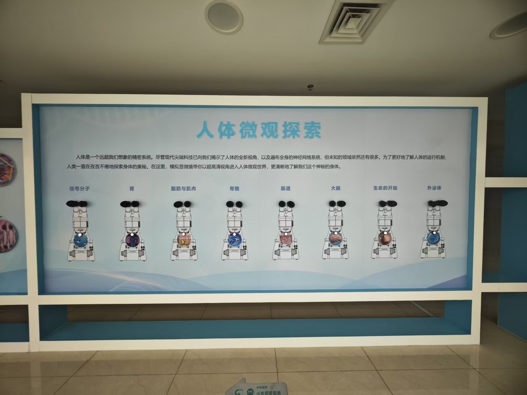 b252e833cac0d19322258f7989aa55fd.png b252e833cac0d19322258f7989aa55fd.png